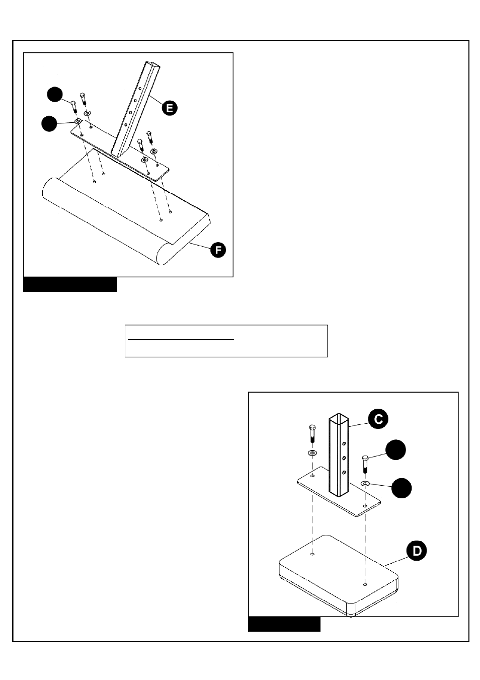 Deltech Fitness DF306- Preacher Curl Bench User Manual | Page 4 / 8