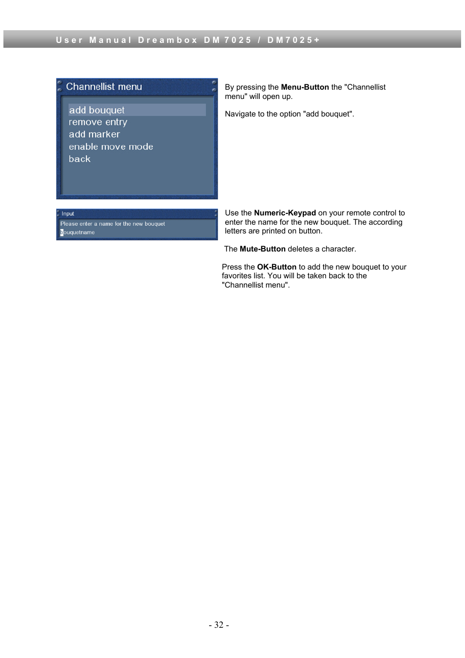 Dream Property DM7025 + User Manual | Page 32 / 114
