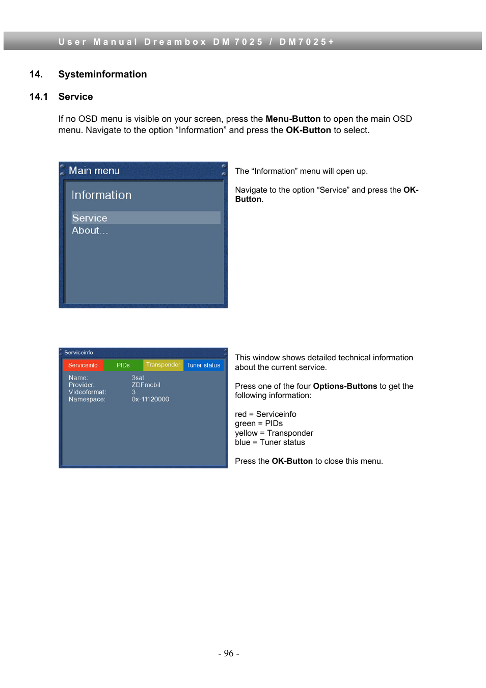 Systeminformation, 1 service | Dream Property DM7025 + User Manual | Page 96 / 114