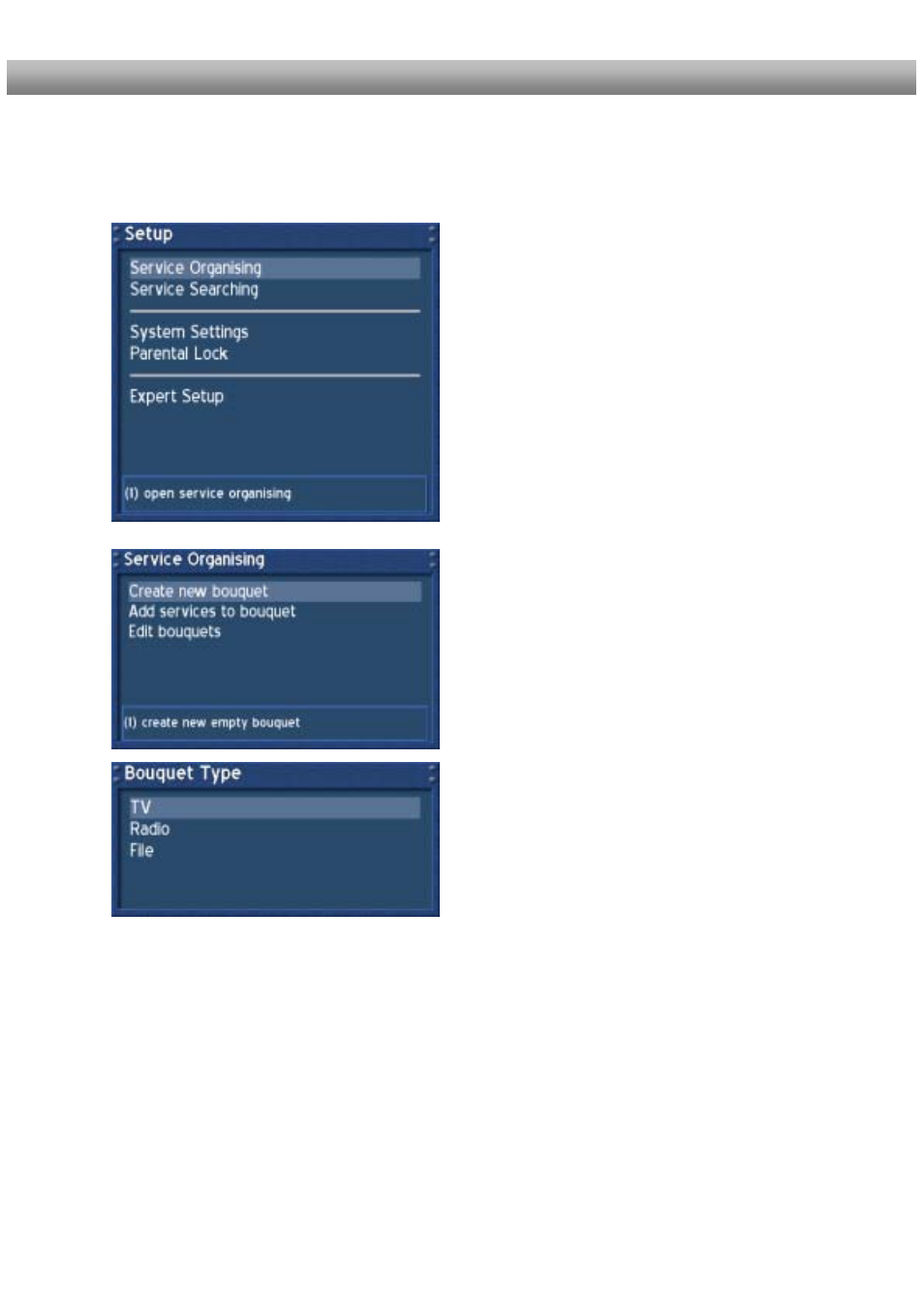 Service organizing – adding a new bouquet | Dream Property DM500 + User Manual | Page 58 / 103