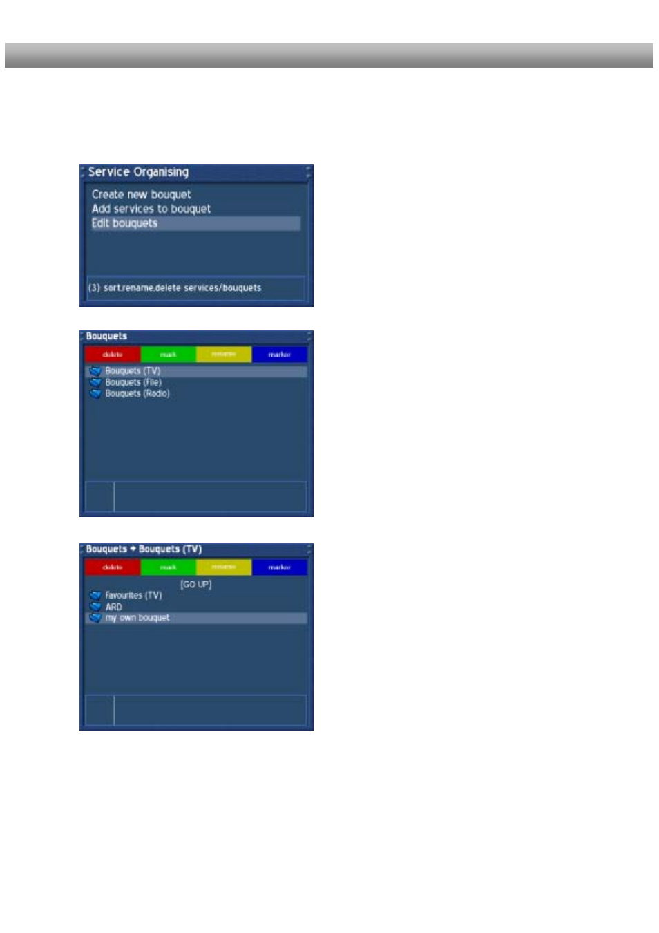 Service organizing – editing a bouquet | Dream Property DM500 + User Manual | Page 62 / 103