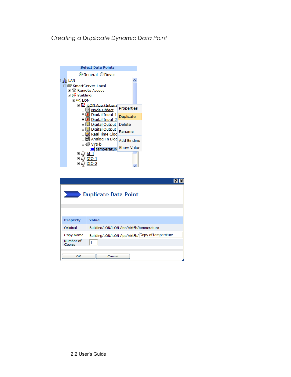 Creating a duplicate dynamic data point | Echelon SmartServer 2.2 User Manual | Page 172 / 560