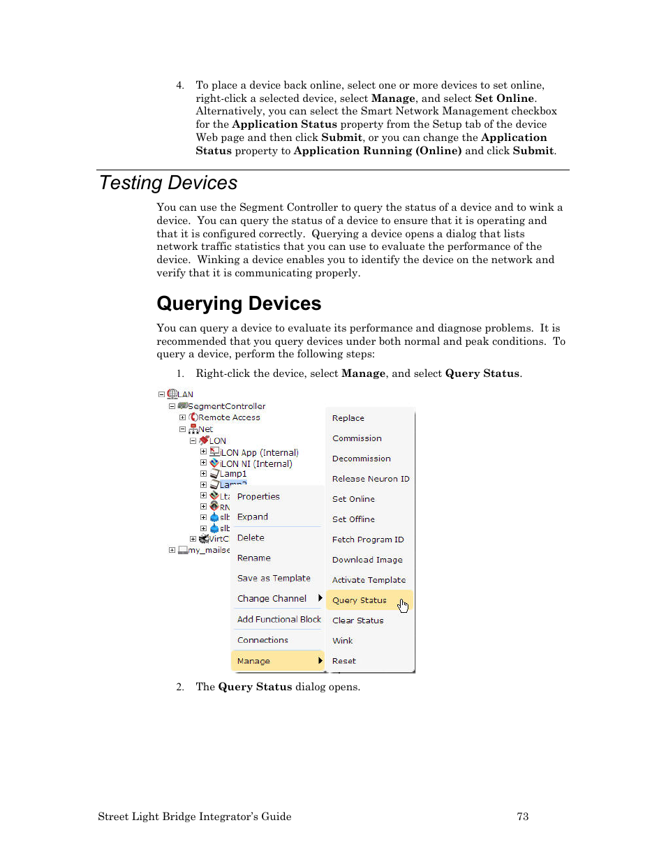 Testing devices, Querying devices, Ee testing devices | Echelon Lumewave CRD 3000 Street Light Bridge User Manual | Page 83 / 124
