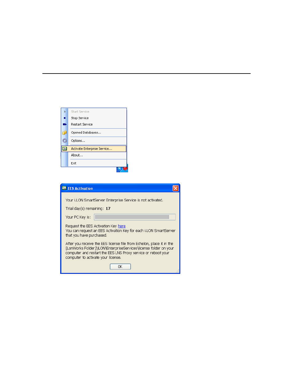 Activating ees 2.0 | Echelon Enterprise Services 2.0 User Manual | Page 25 / 87