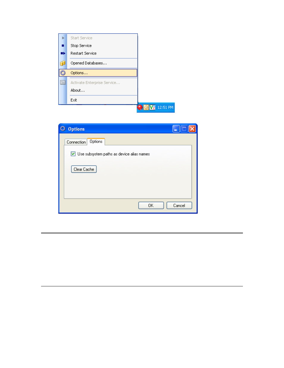 Using the lns proxy web service, Setting up the lns proxy web service | Echelon Enterprise Services 2.0 User Manual | Page 70 / 87