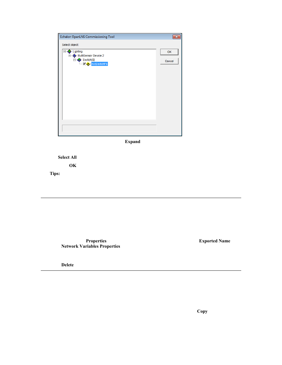 Renaming and deleting a supernode network variable, Copying a subsystem or supernode | Echelon OpenLNS Commissioning Tool User Manual | Page 127 / 393