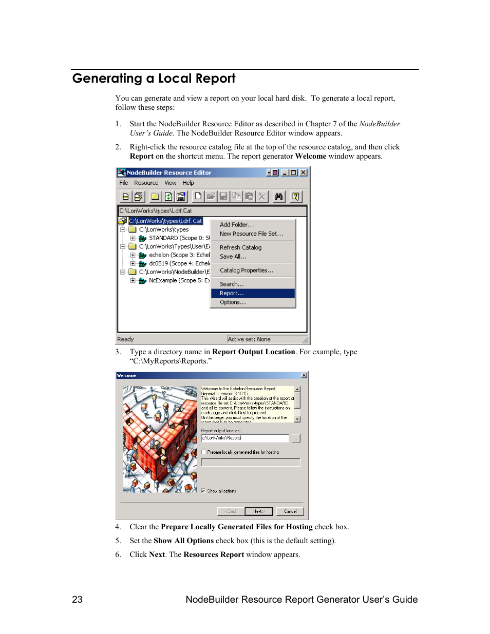 Generating a local report | Echelon NodeBuilder Resource Report Generator User Manual | Page 25 / 52