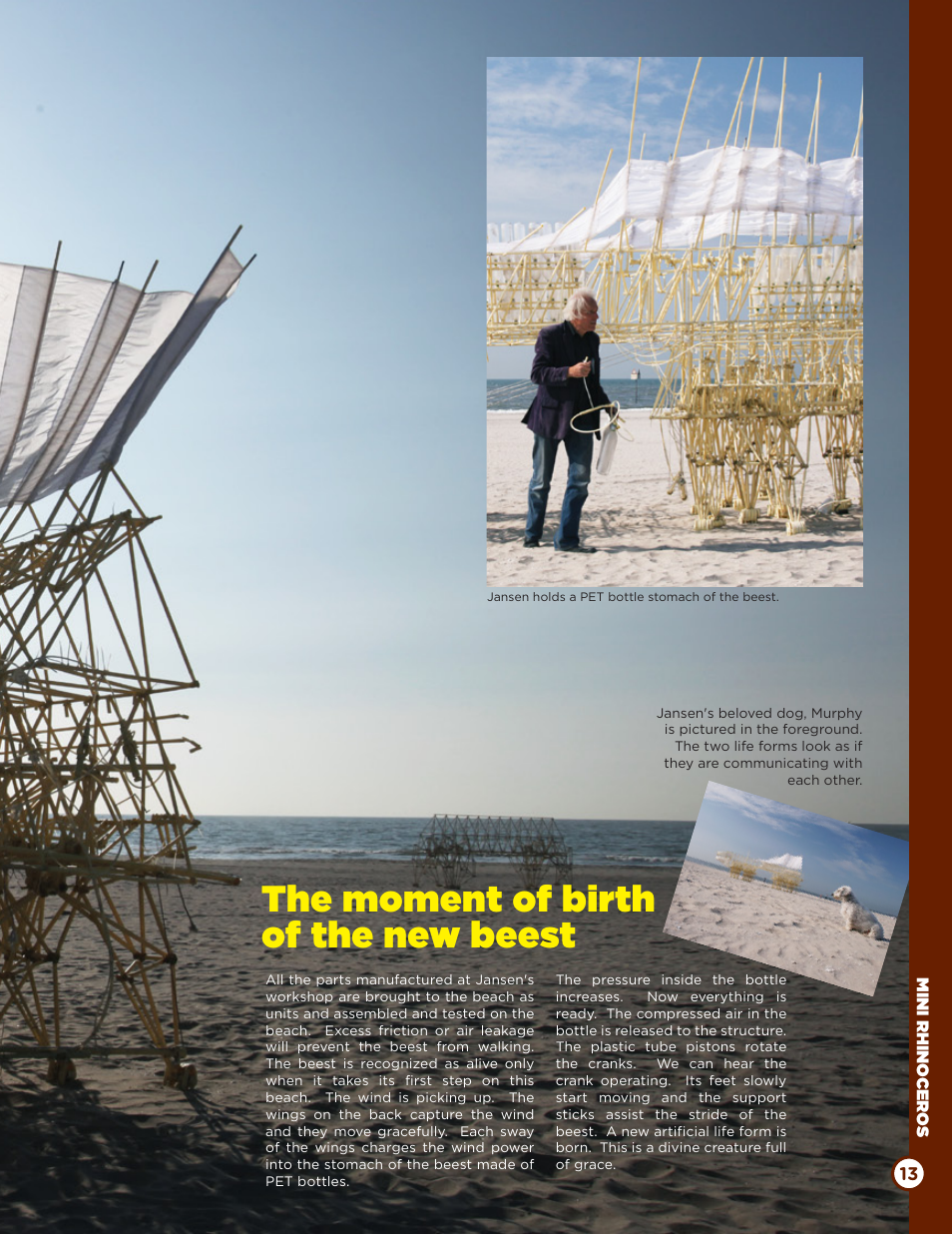 Animaris gubernare, The moment of birth of the new beest | Elenco Rhinoceros Mini-Beest Kit User Manual | Page 13 / 24