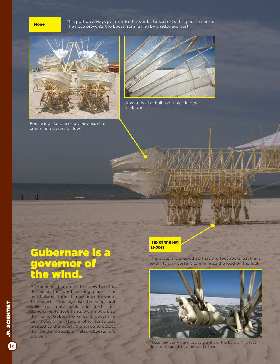 Gubernare is a governor of the wind | Elenco Rhinoceros Mini-Beest Kit User Manual | Page 14 / 24
