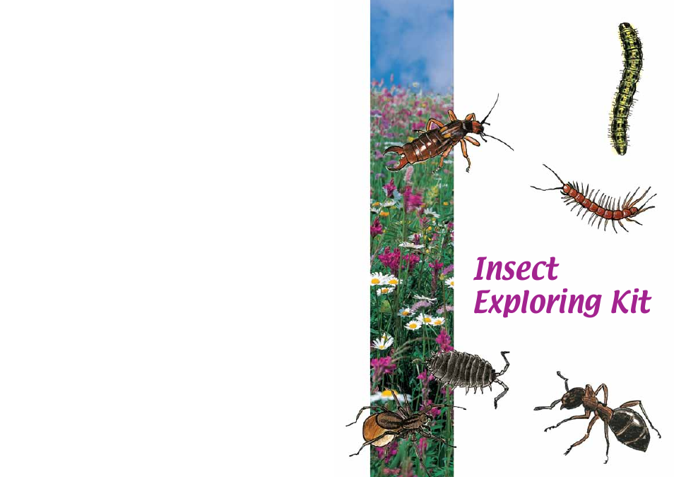 Elenco Insect Exploring Kit User Manual | Page 2 / 10