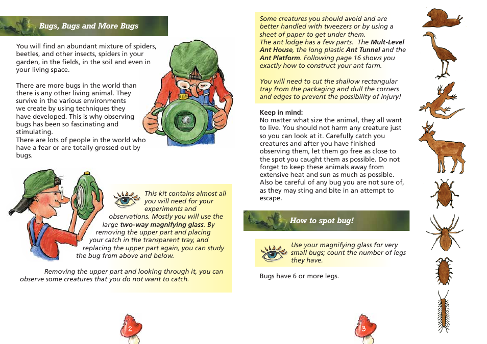 Elenco Insect Exploring Kit User Manual | Page 3 / 10