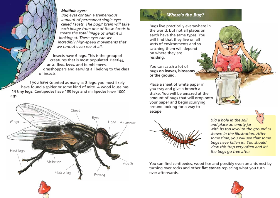 Elenco Insect Exploring Kit User Manual | Page 4 / 10