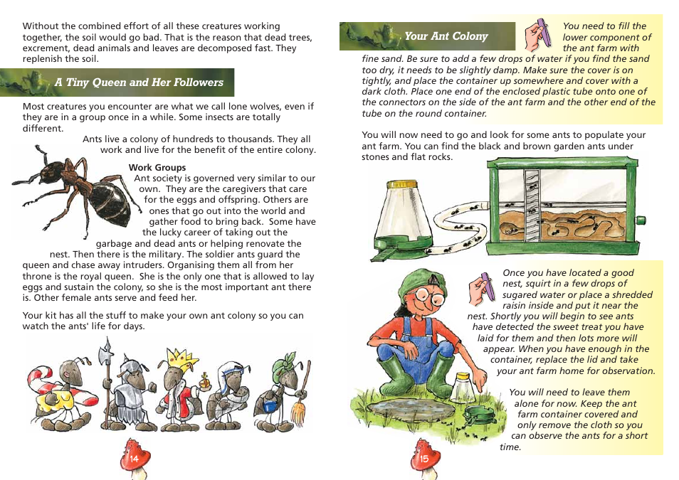 Elenco Insect Exploring Kit User Manual | Page 9 / 10