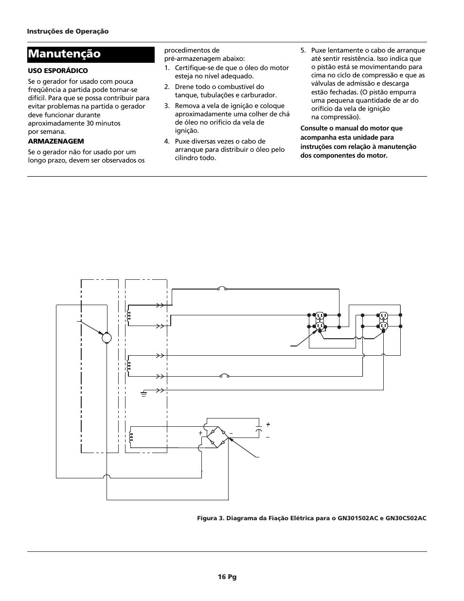 Manutenção | Campbell Hausfeld GN30c502AC User Manual | Page 16 / 24