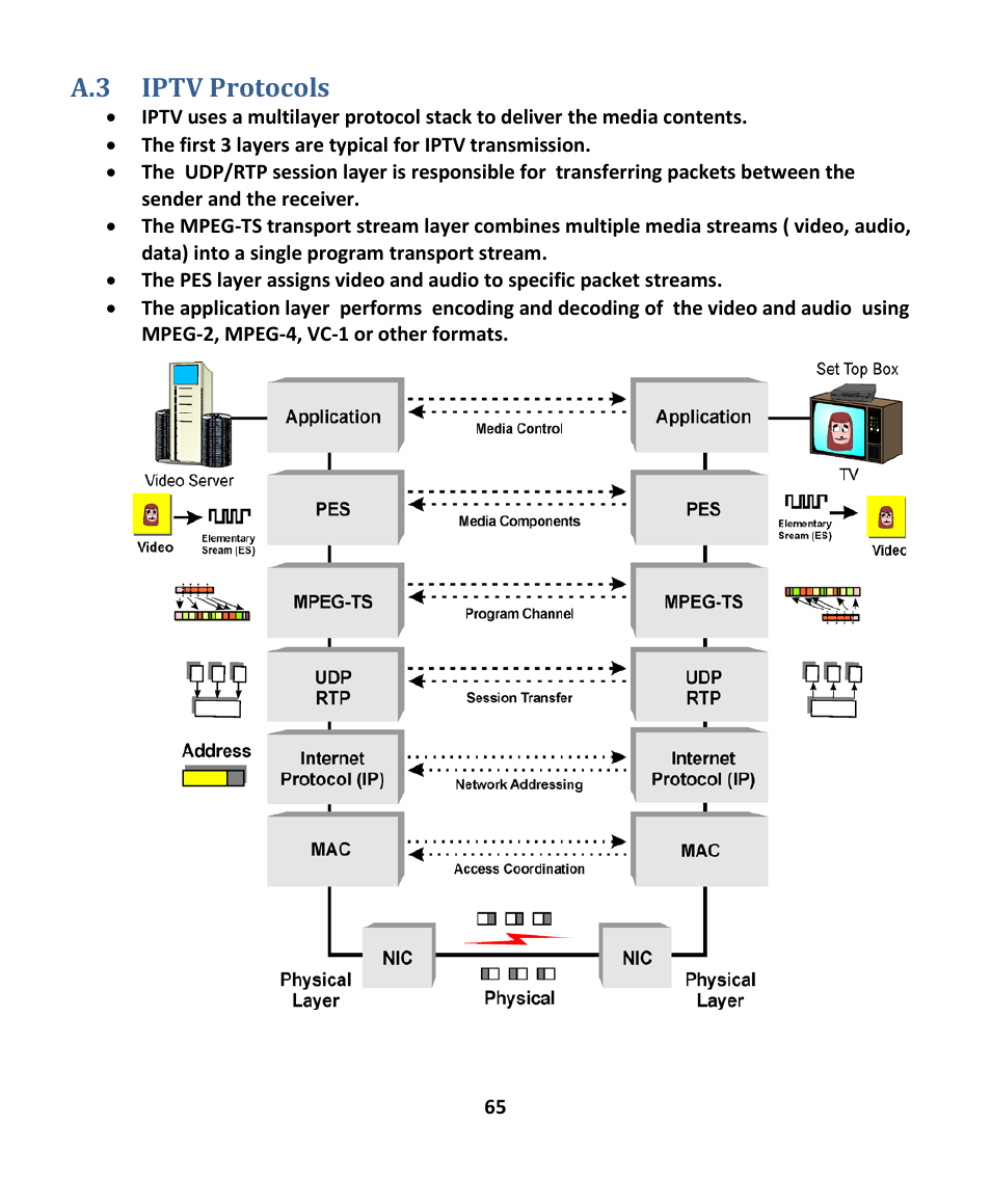 A.3 iptv protocols, Iptv, Rotocols | EXFO EXpert IPTV Test Tools (FTB-1 / 2 Pro) User Manual | Page 65 / 82