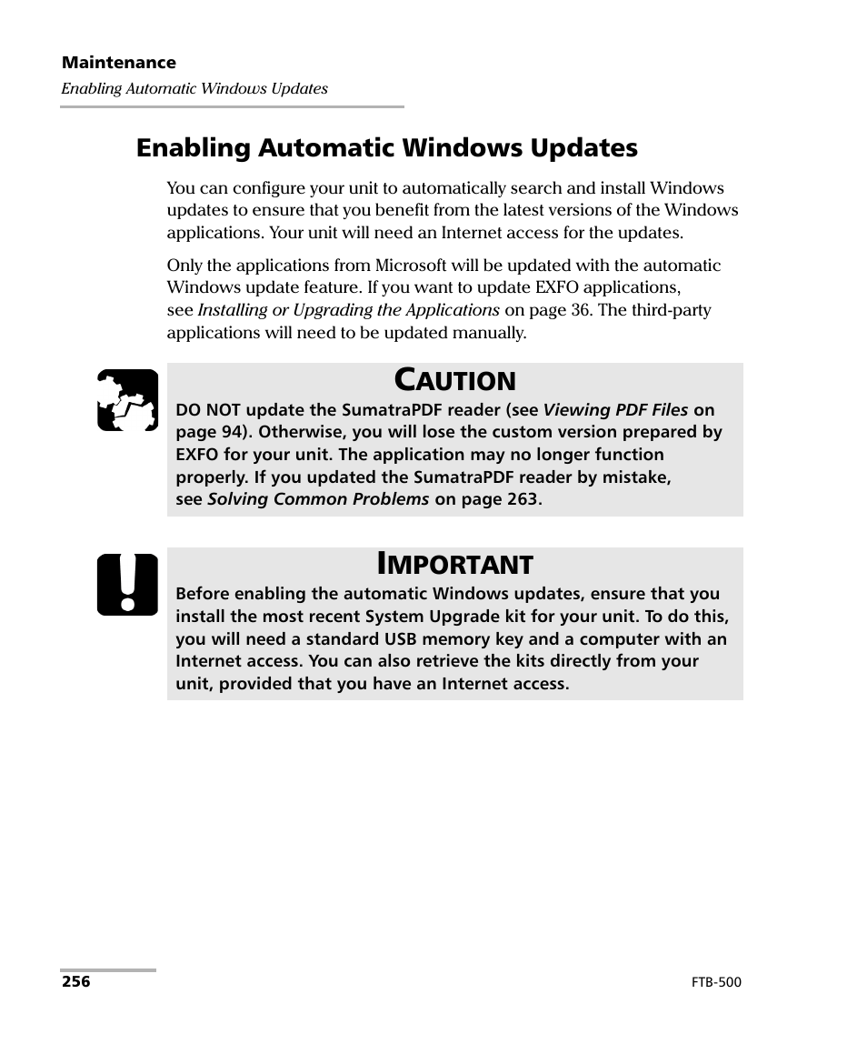 Enabling automatic windows updates, Aution, Mportant | EXFO FTB-500 (Window XP) User Manual | Page 266 / 405