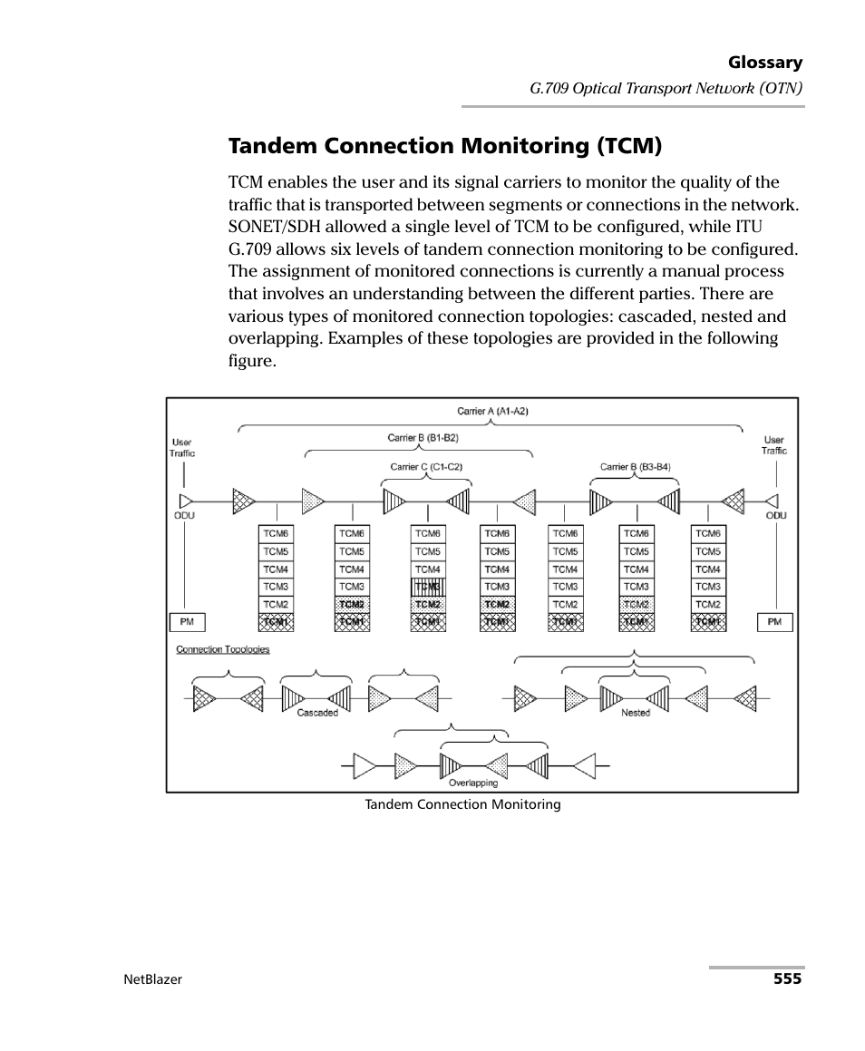 Tandem connection monitoring (tcm) | EXFO FTB-800 Series for FTB-1 User Manual | Page 565 / 621