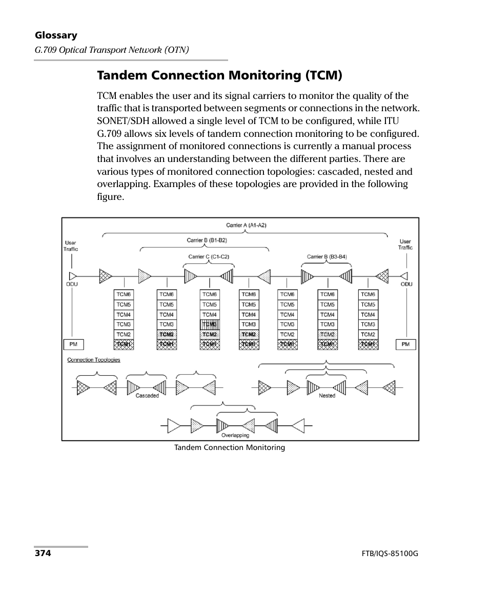 Tandem connection monitoring (tcm) | EXFO FTB/IQS-85100G Packet Blazer for FTB-500/IQS-600 User Manual | Page 384 / 448