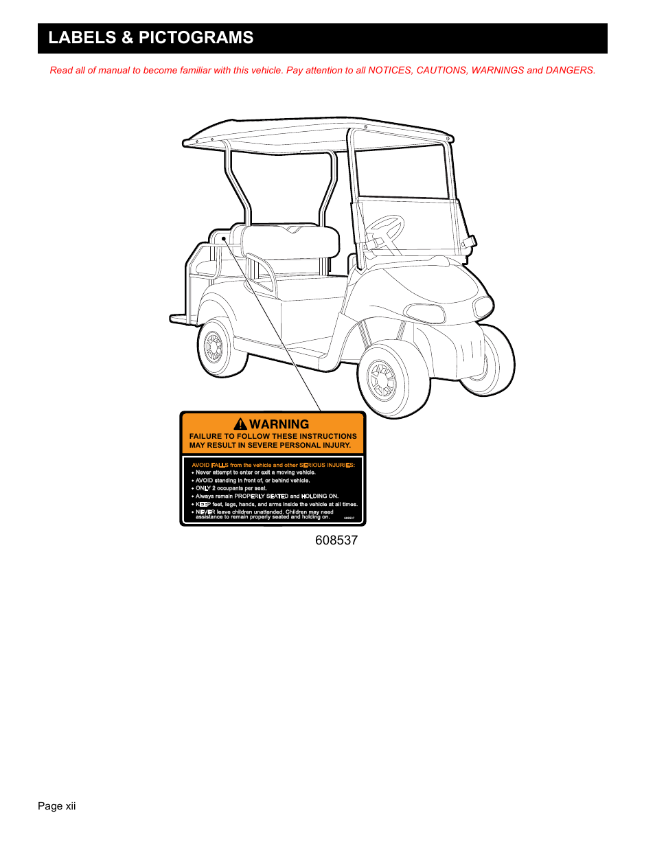 Labels & pictograms, Owner’s guide, Page xii | E-Z-GO FREEDOM RXV 2+2 User Manual | Page 14 / 60