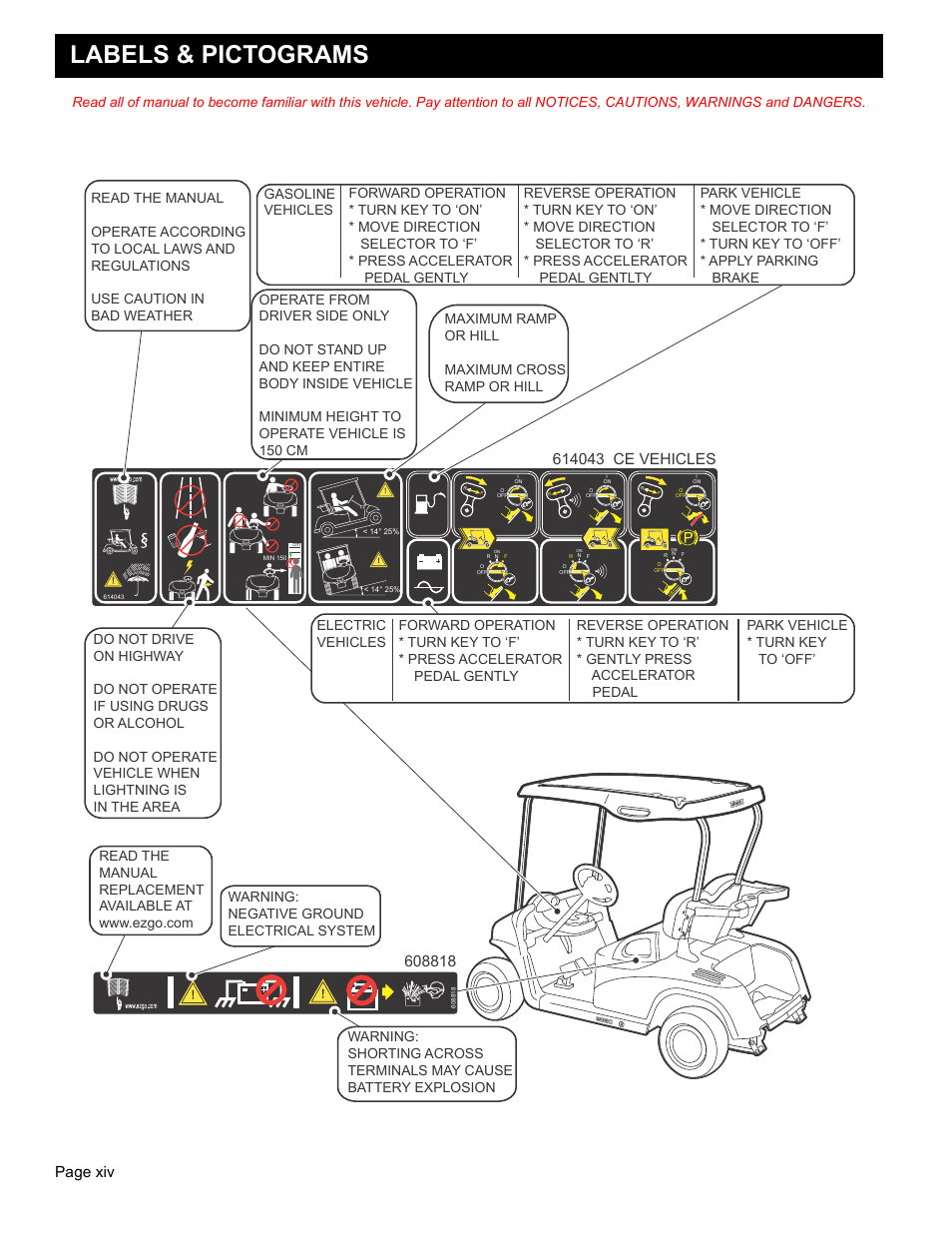 Labels & pictograms, Owner’s guide, Page xiv | E-Z-GO FREEDOM RXV 2+2 User Manual | Page 16 / 60