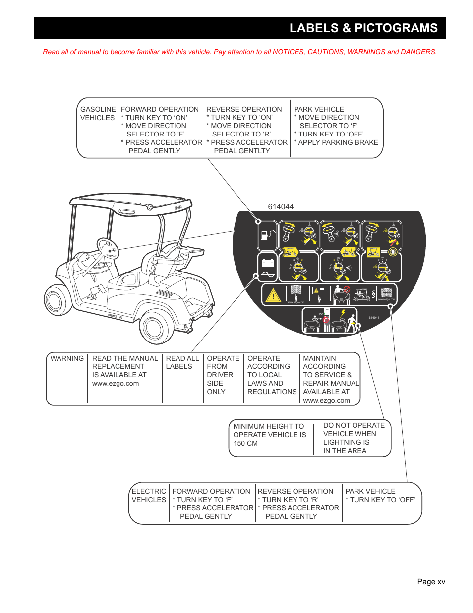 Labels & pictograms, Owner’s guide, Page xv | E-Z-GO FREEDOM RXV 2+2 User Manual | Page 17 / 60