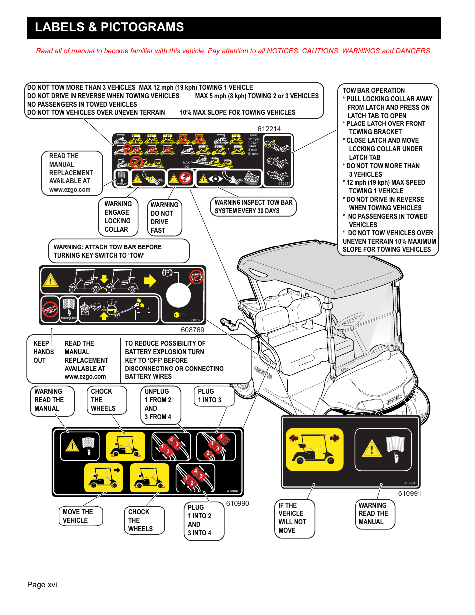 Labels & pictograms, Owner’s guide | E-Z-GO FREEDOM RXV 2+2 User Manual | Page 18 / 60