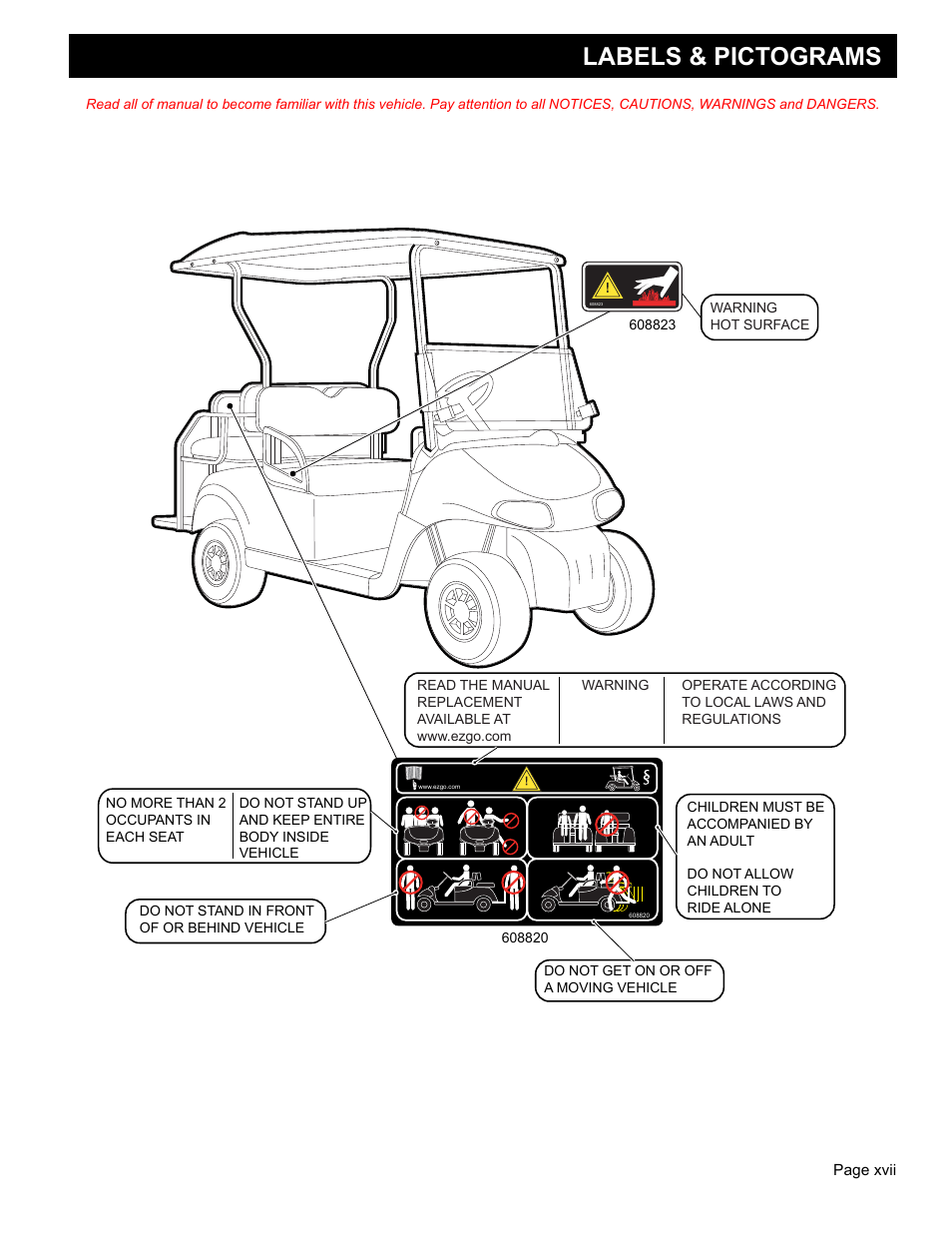 Labels & pictograms | E-Z-GO FREEDOM RXV 2+2 User Manual | Page 19 / 60
