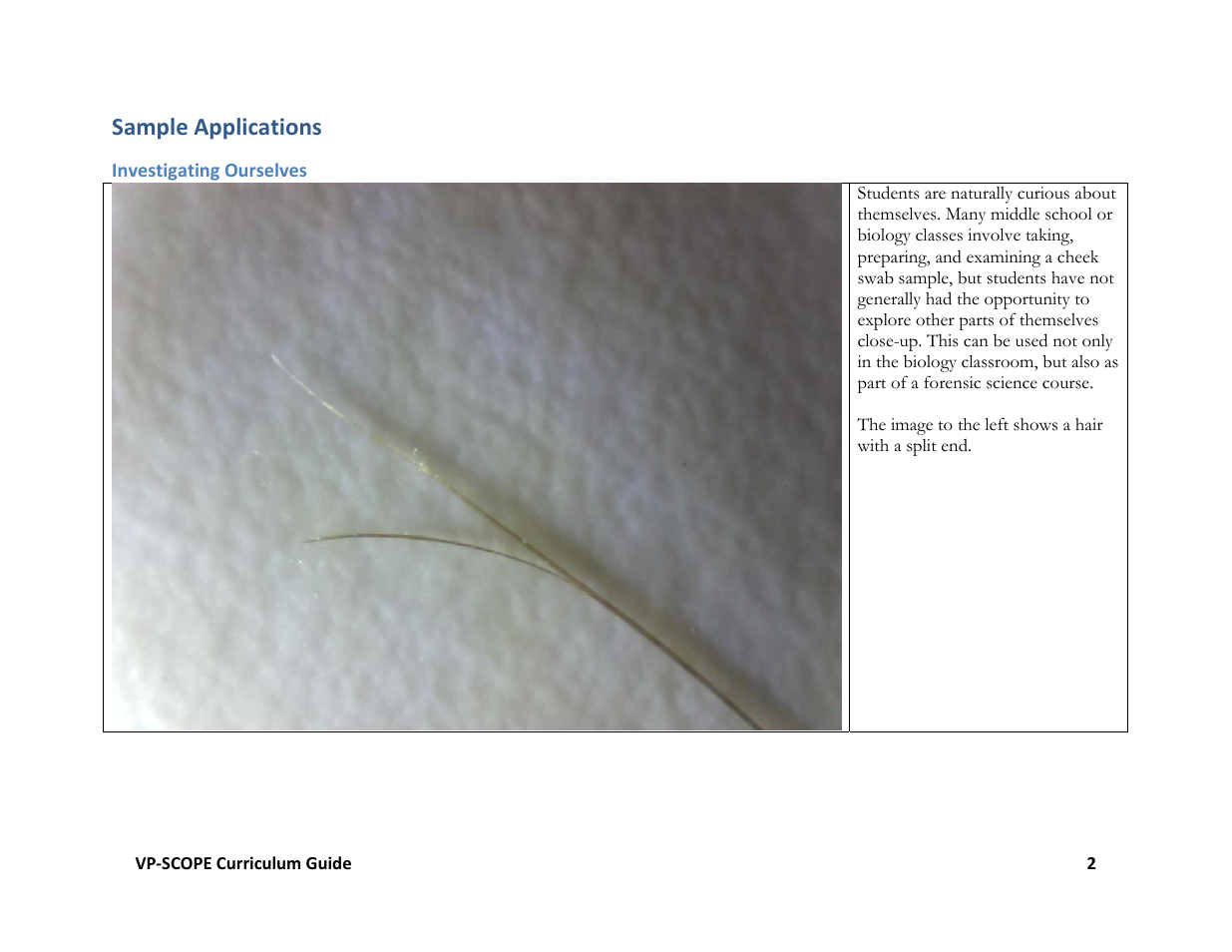 Sample applications | Hamilton Buhl VP-SCOPE Curriculum User Manual | Page 2 / 11