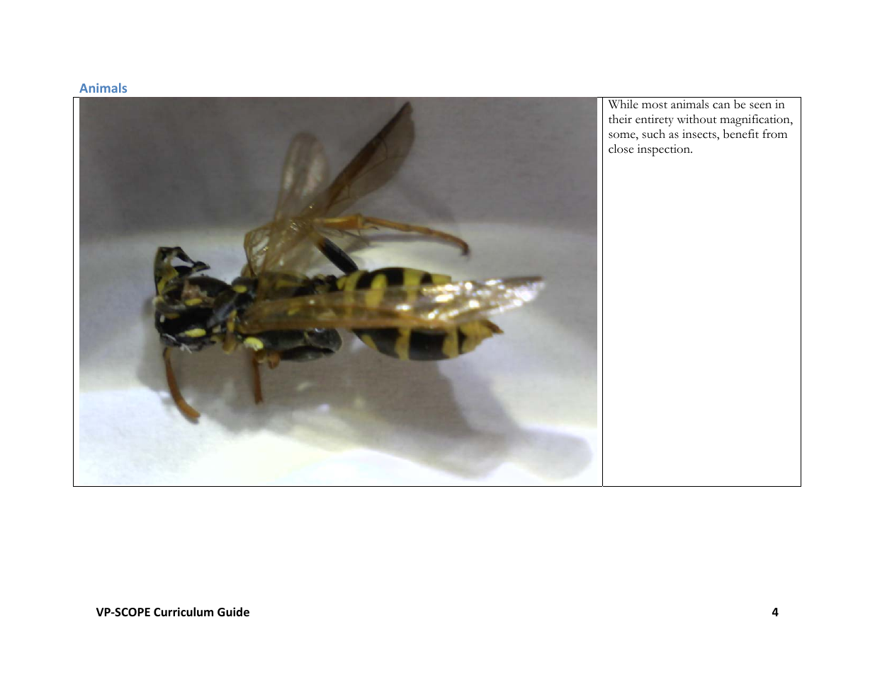 Hamilton Buhl VP-SCOPE Curriculum User Manual | Page 4 / 11
