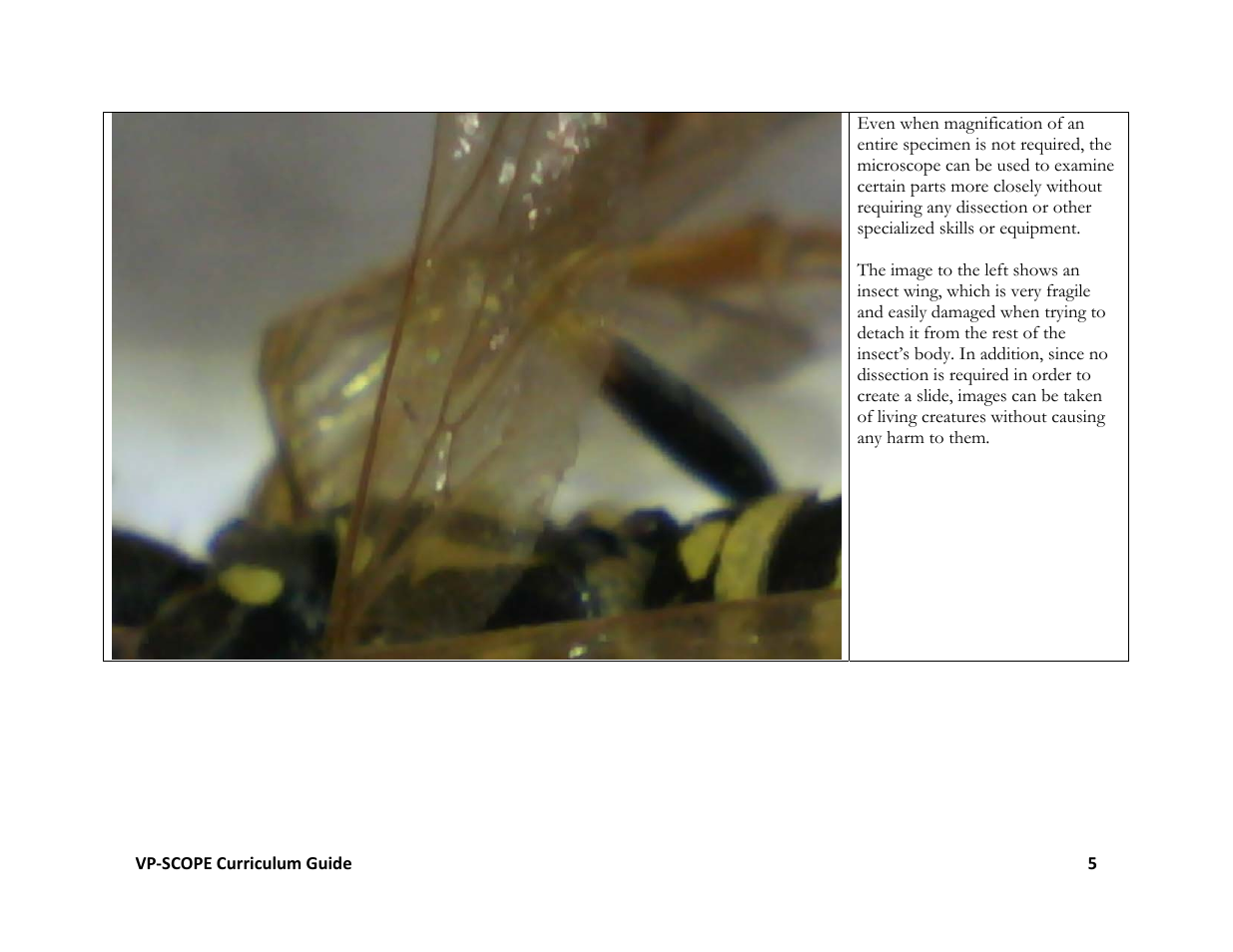 Hamilton Buhl VP-SCOPE Curriculum User Manual | Page 5 / 11