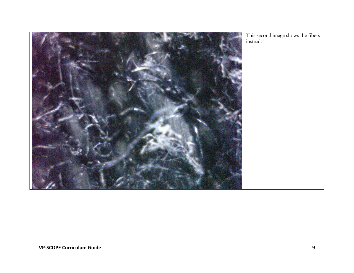 Hamilton Buhl VP-SCOPE Curriculum User Manual | Page 9 / 11