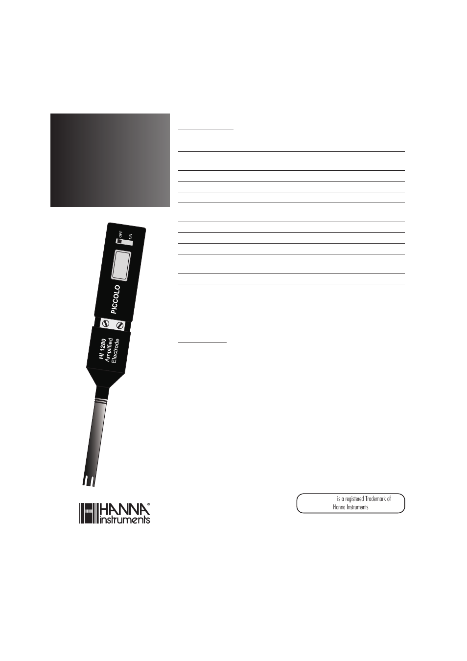 Hanna Instruments HI 98111 User Manual | 2 pages