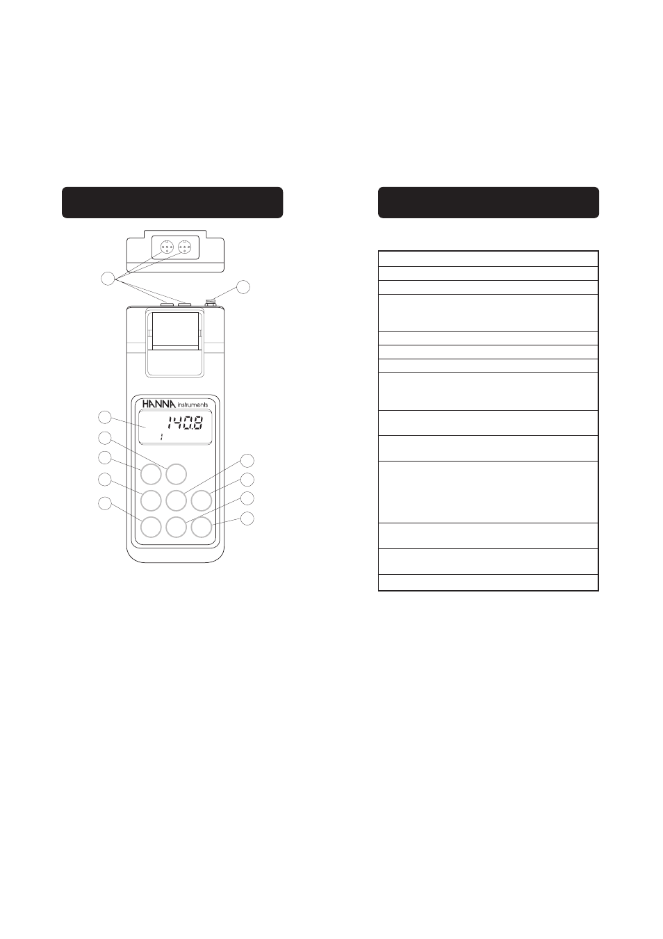 Hanna Instruments HI 955201 User Manual | Page 5 / 19