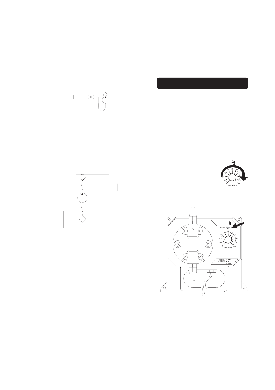 Hanna Instruments BL Series Pumps User Manual | Page 11 / 17