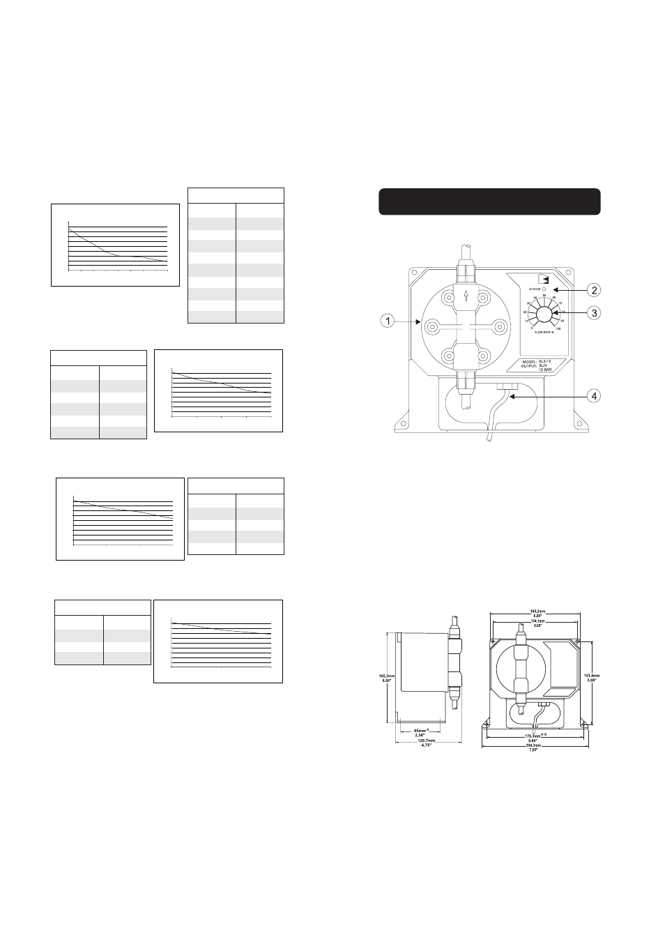 Bl10, Bl15, Bl20 | Hanna Instruments BL Series Pumps User Manual | Page 5 / 17
