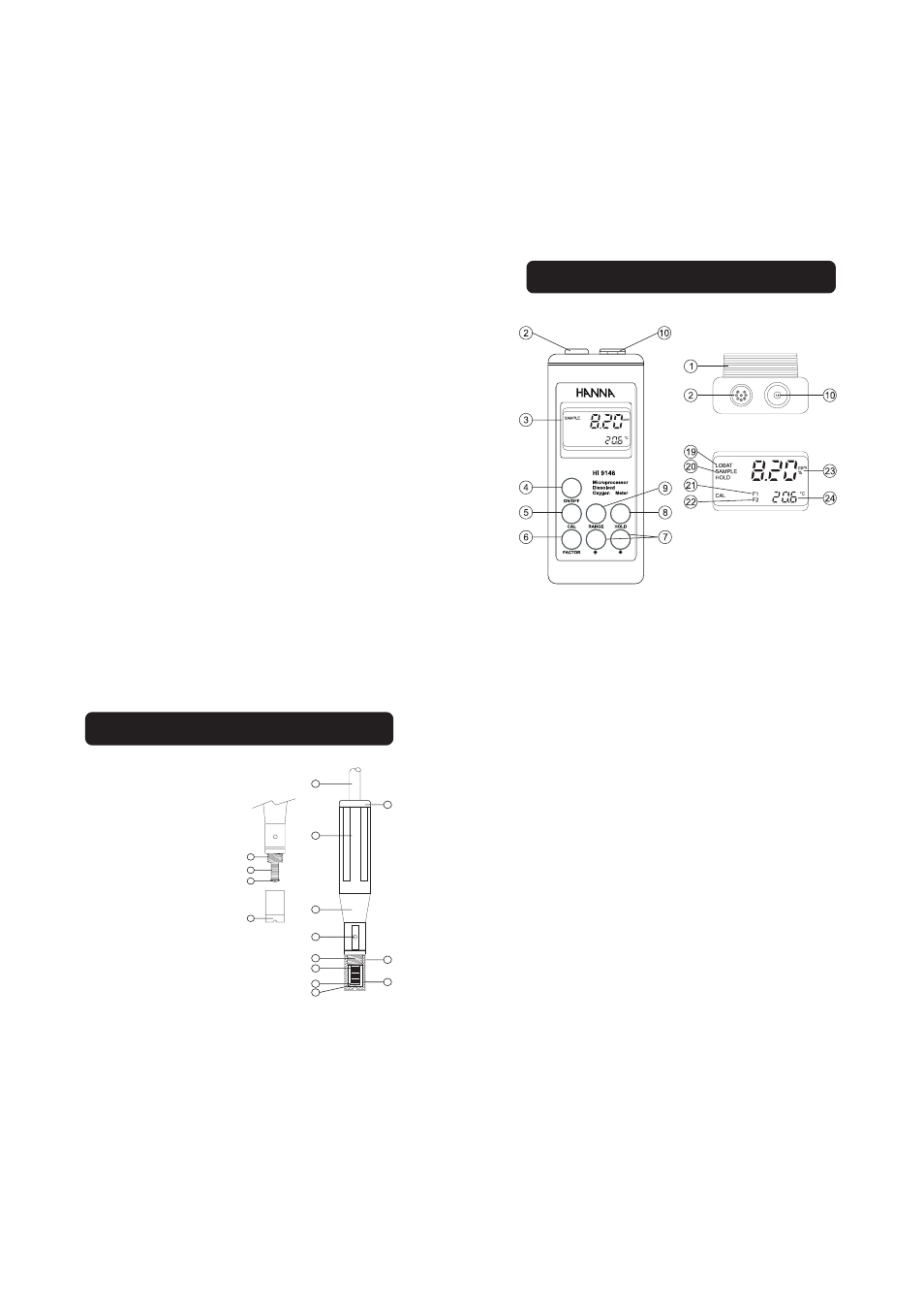 45 functional description - probe | Hanna Instruments HI 9146-04 User Manual | Page 3 / 11