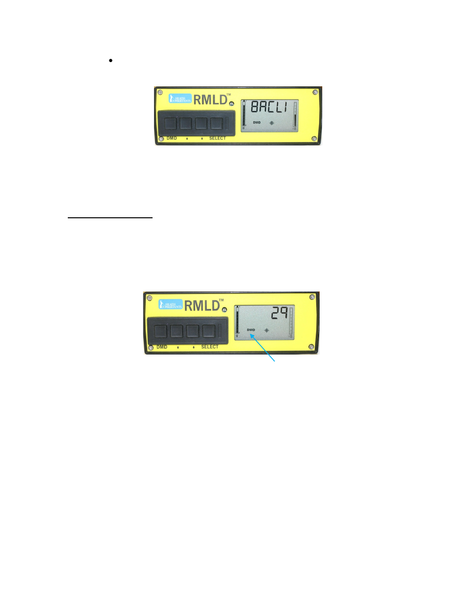 Heath Consultants Remote Methane Leak Detector Intrinsically Safe (RMLD-I) User Manual | Page 19 / 40