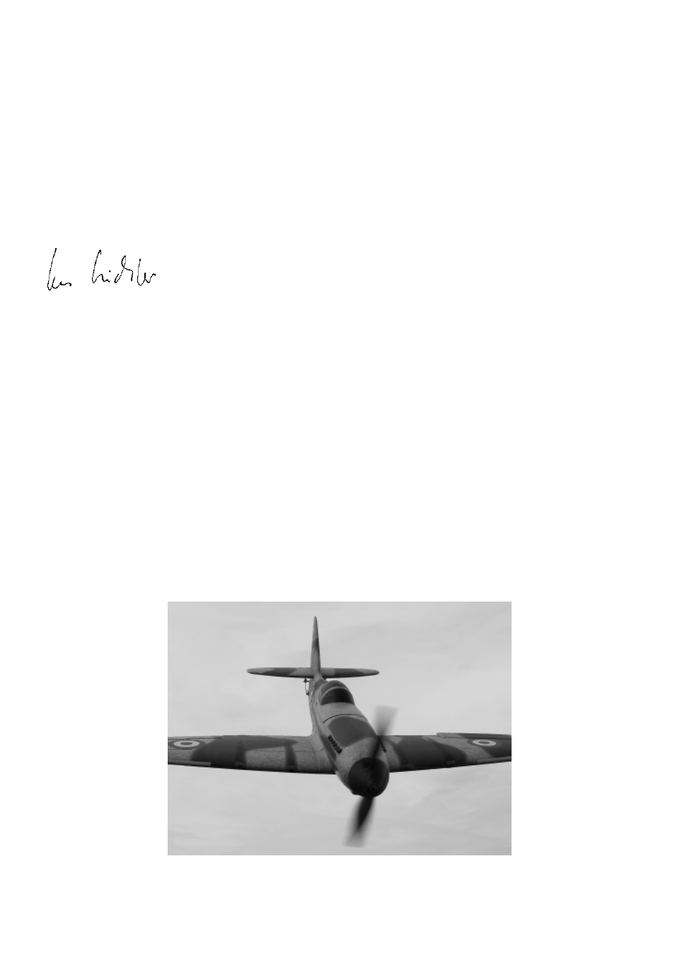 HITEC DogFighter User Manual | Page 24 / 40