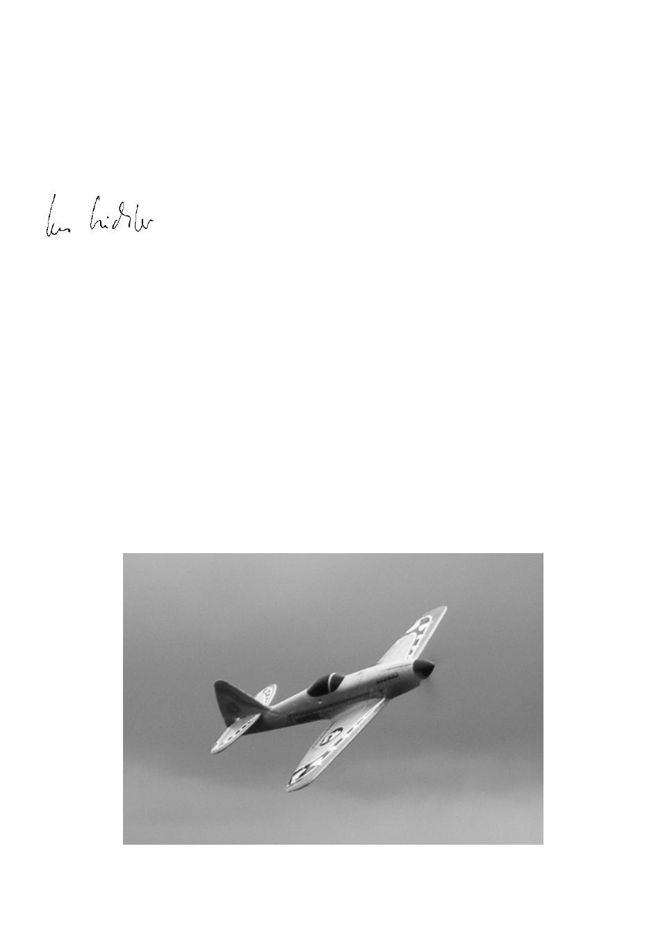 HITEC DogFighter User Manual | Page 36 / 40