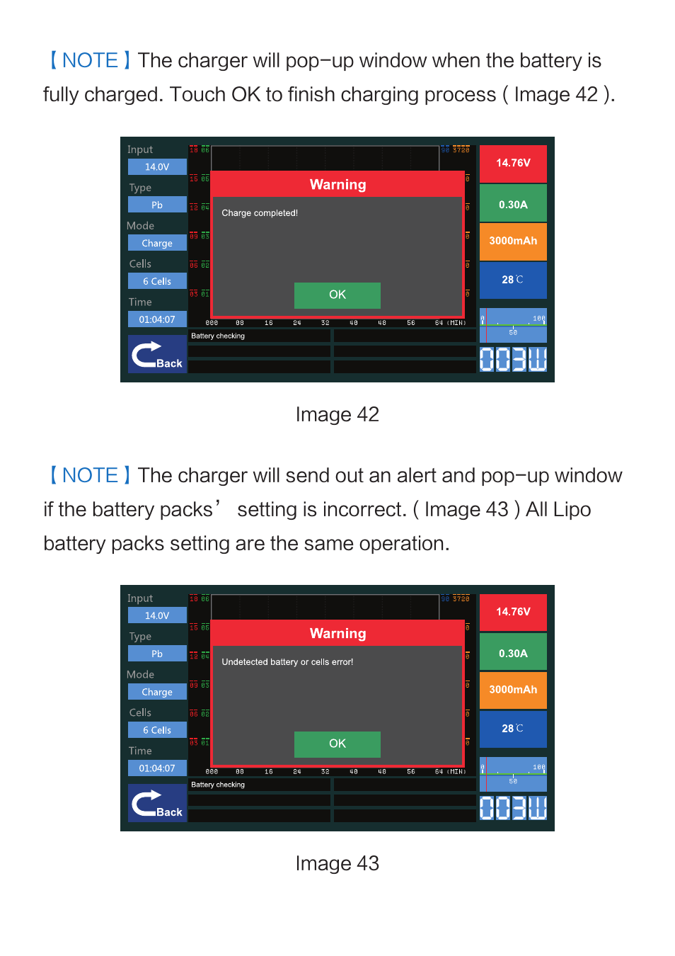 Imaxrc X200AC-DC User Manual | Page 31 / 39