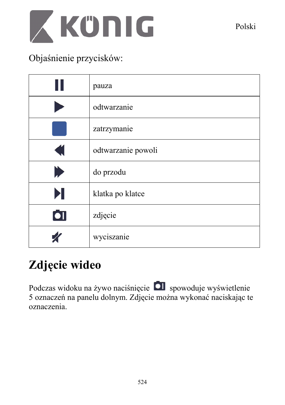 Zdjęcie wideo, Objaśnienie przycisków | Konig Electronic Digital security video recorder equipped with built-in 500 GB hard disk User Manual | Page 524 / 550