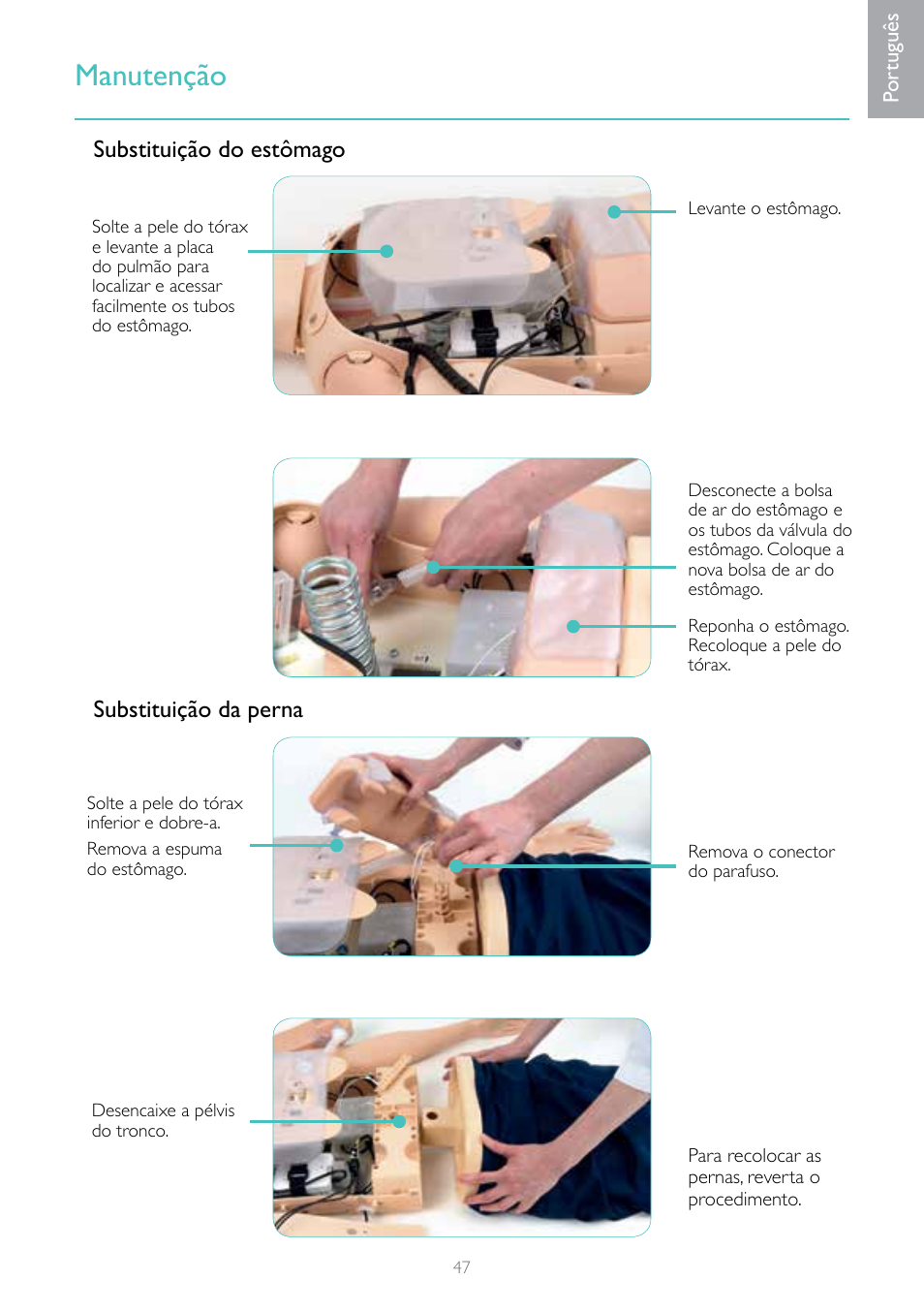 Manutenção, Substituição do estômago substituição da perna | Laerdal Resusci Anne Advanced SkillTrainer with SimPad User Manual | Page 47 / 68