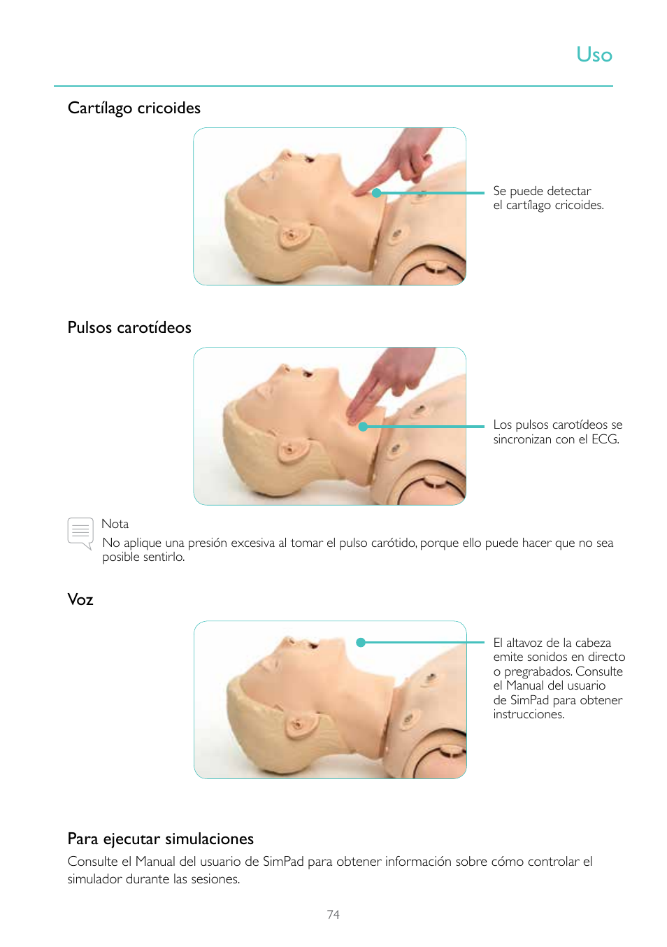 Cartílago cricoides pulsos carotídeos, Voz para ejecutar simulaciones | Laerdal Resusci Anne Simulator User Manual | Page 74 / 84
