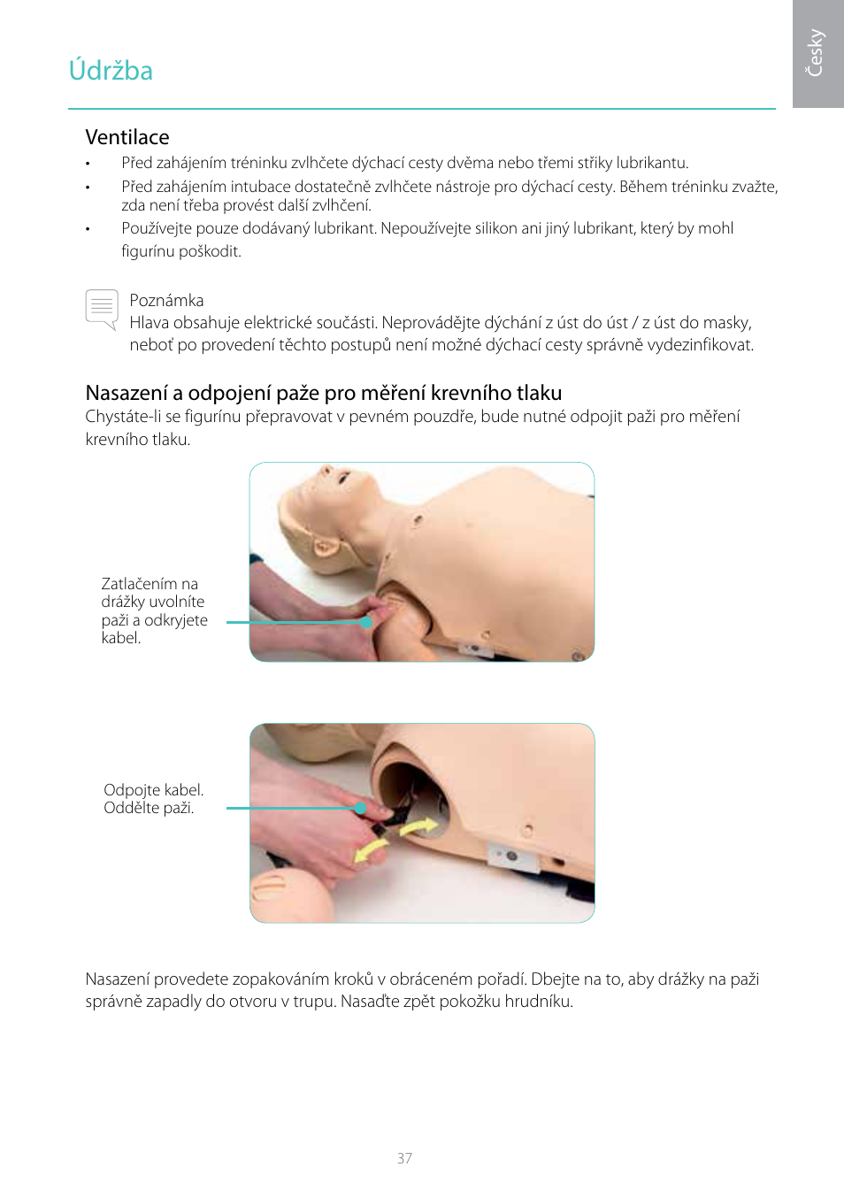 Údržba | Laerdal Resusci Anne Simulator User Manual | Page 37 / 104