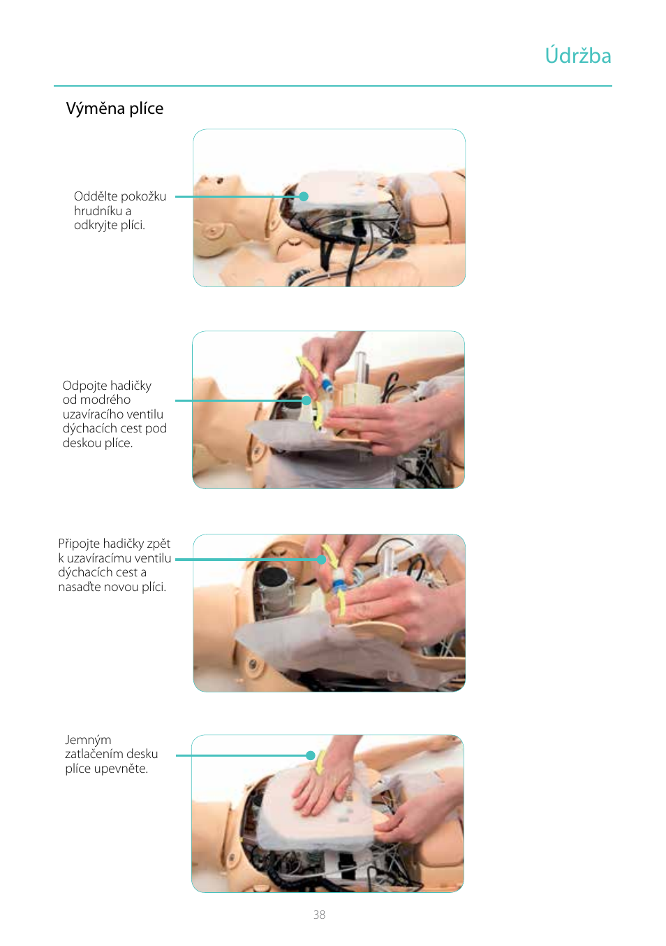 Údržba, Výměna plíce | Laerdal Resusci Anne Simulator User Manual | Page 38 / 104