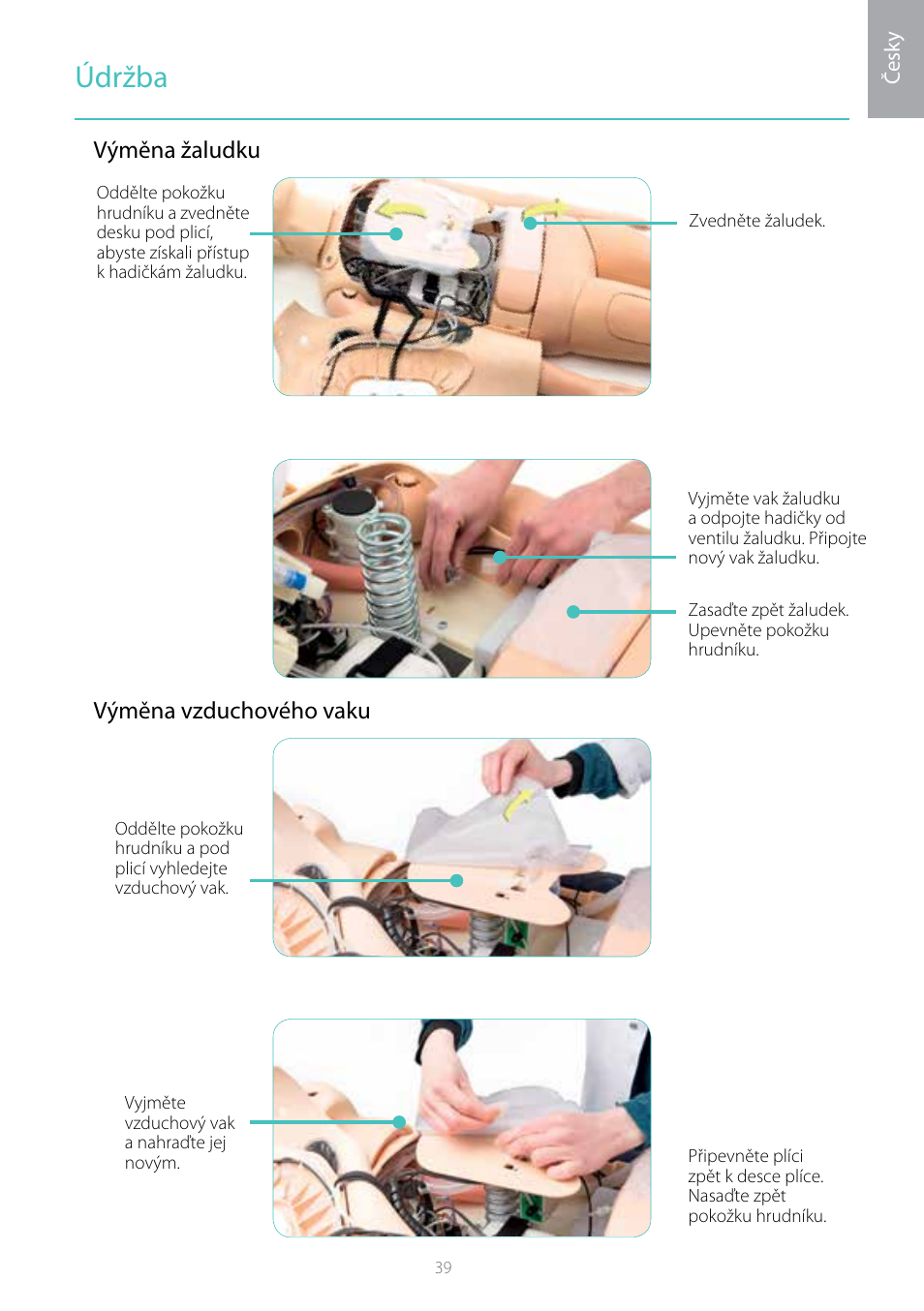 Údržba, Výměna žaludku výměna vzduchového vaku | Laerdal Resusci Anne Simulator User Manual | Page 39 / 104
