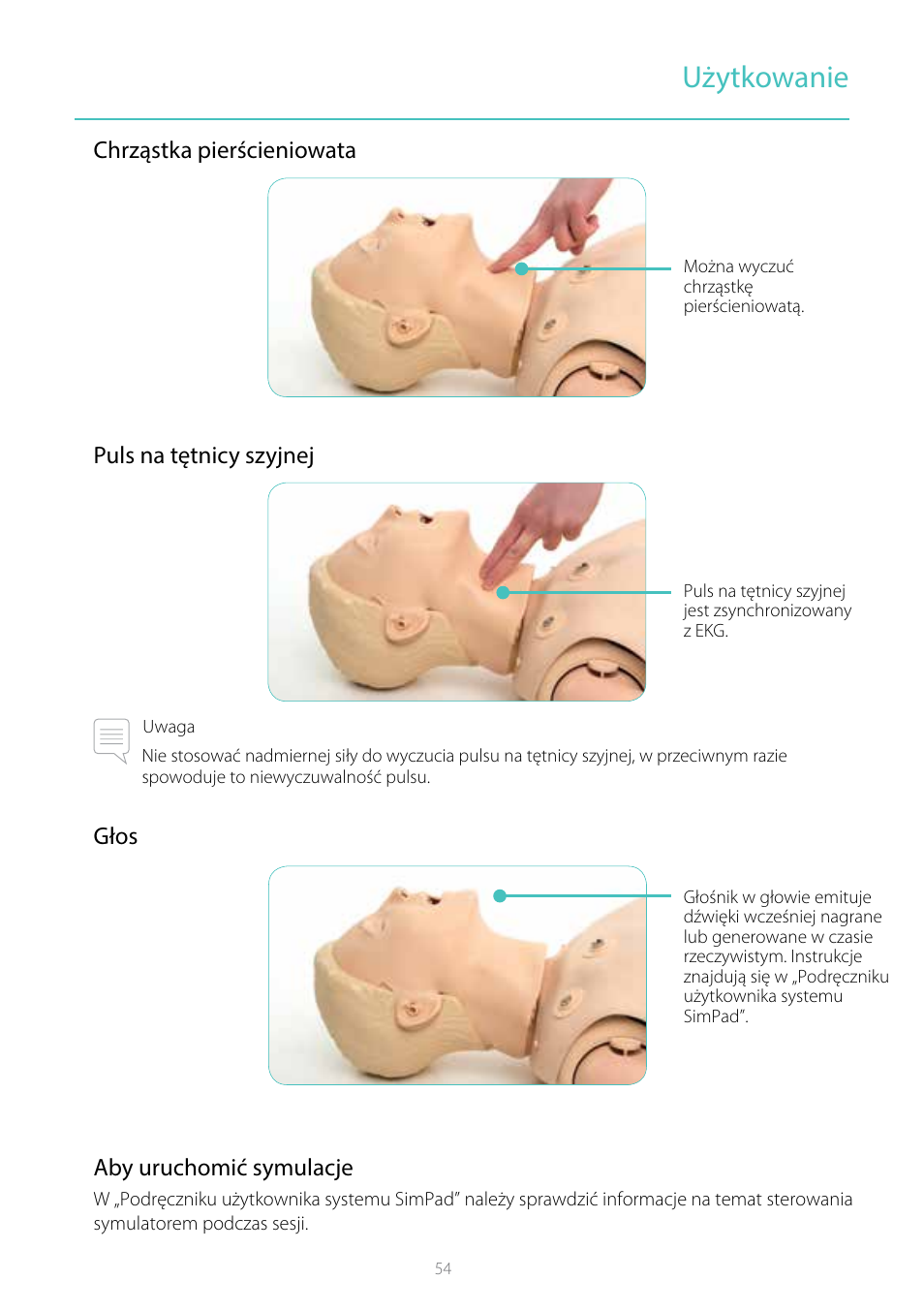 Użytkowanie, Chrząstka pierścieniowata puls na tętnicy szyjnej, Głos aby uruchomić symulacje | Laerdal Resusci Anne Simulator User Manual | Page 54 / 104