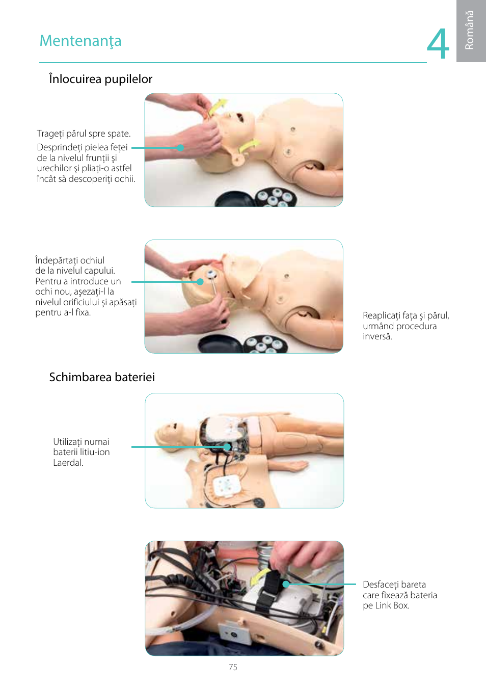 Mentenanţa | Laerdal Resusci Anne Simulator User Manual | Page 75 / 104