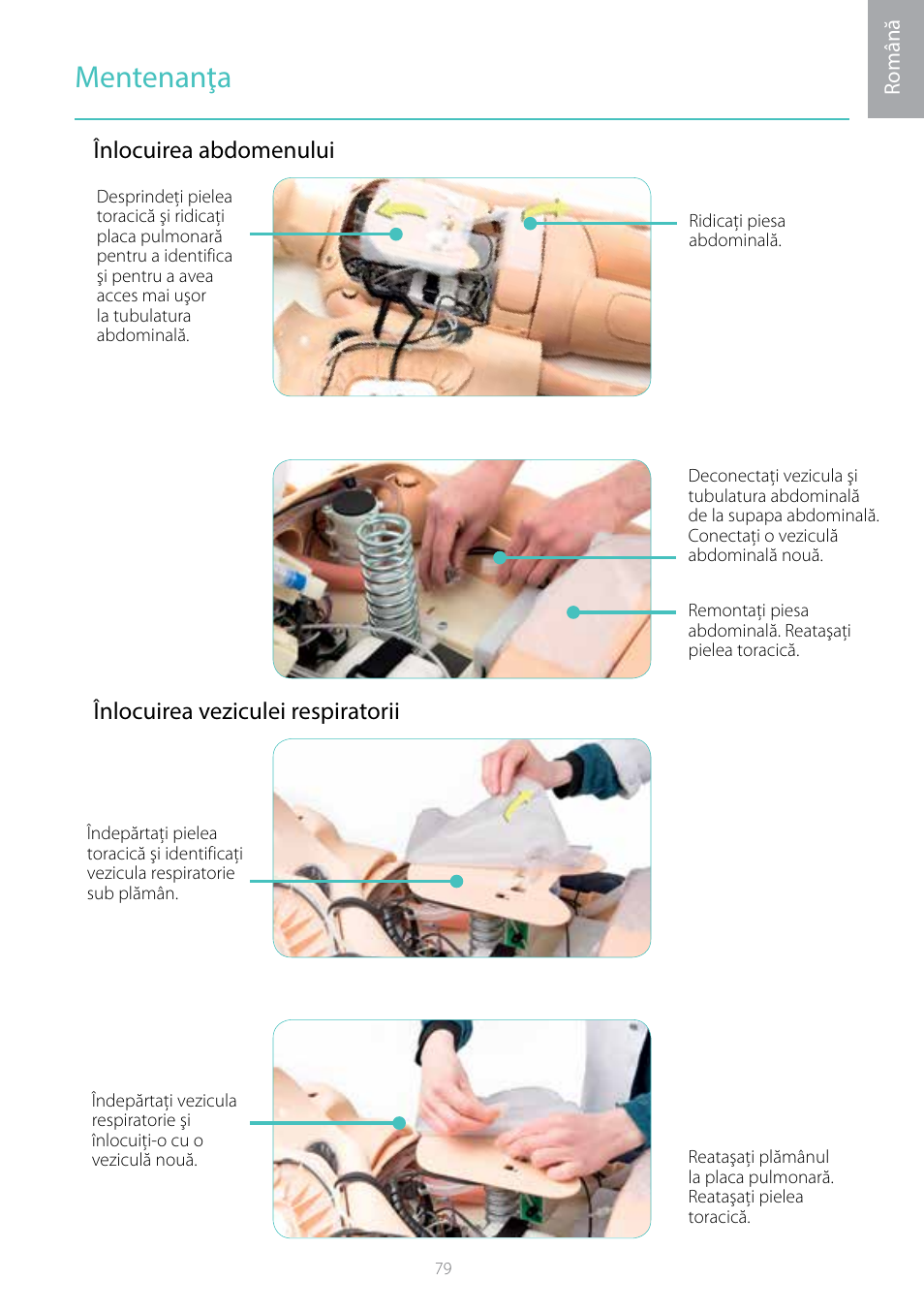 Mentenanţa | Laerdal Resusci Anne Simulator User Manual | Page 79 / 104