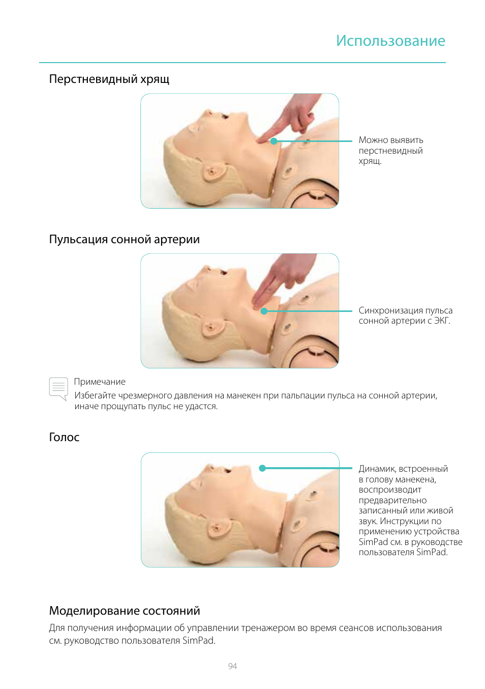 Использование, Перстневидный хрящ пульсация сонной артерии, Голос моделирование состояний | Laerdal Resusci Anne Simulator User Manual | Page 94 / 104